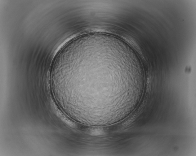 X0000114590798200911161330