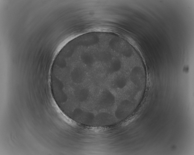 X0000114590803200911161330