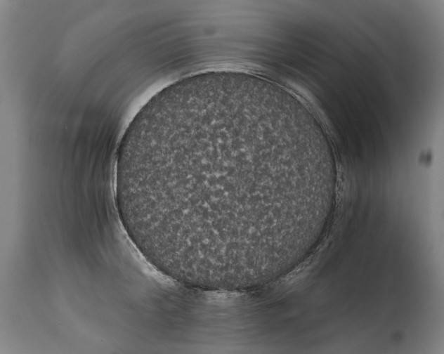 X0000114590804200911161330