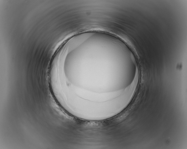 X0000114590806200911161330