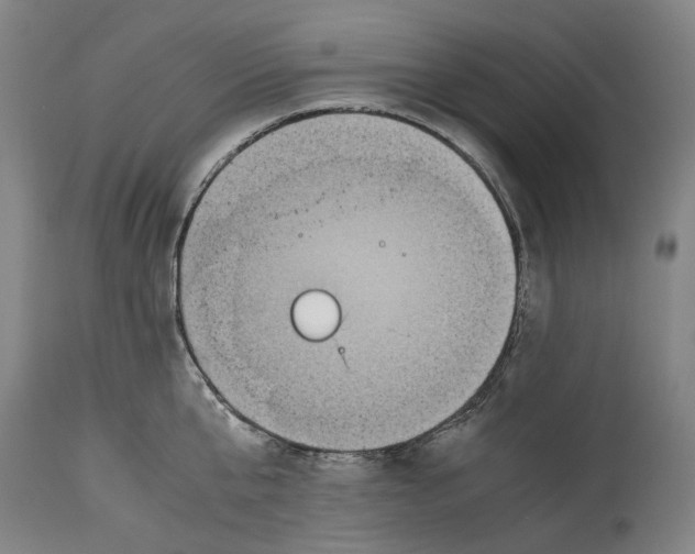 X0000114590807200911161330