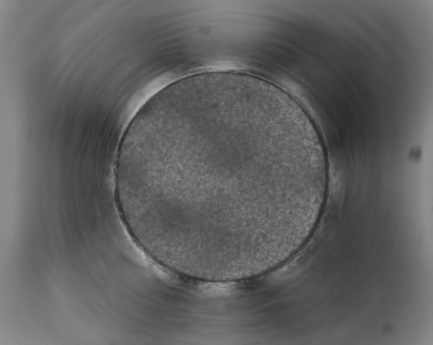 X0000114590810200911161330