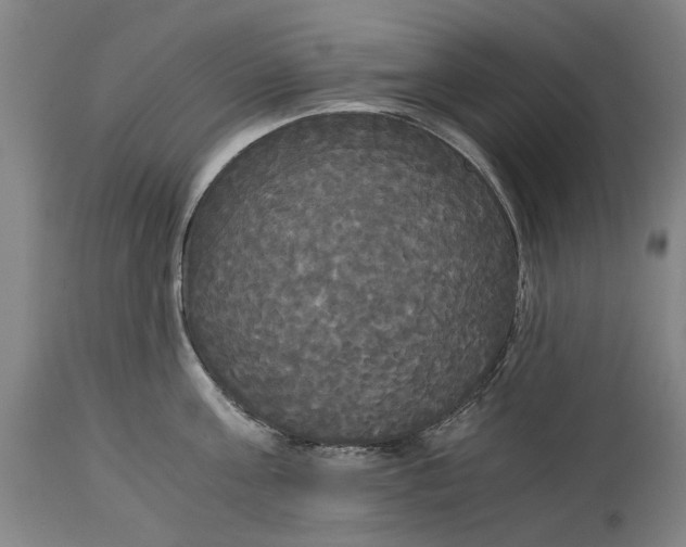 X0000114590811200911161330