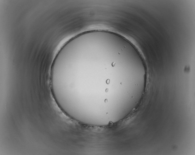 X0000114590815200911161330