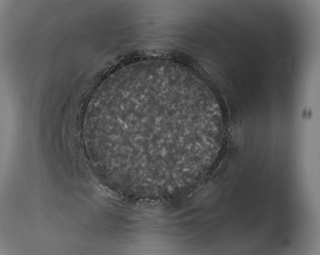 X0000114590817200911161329