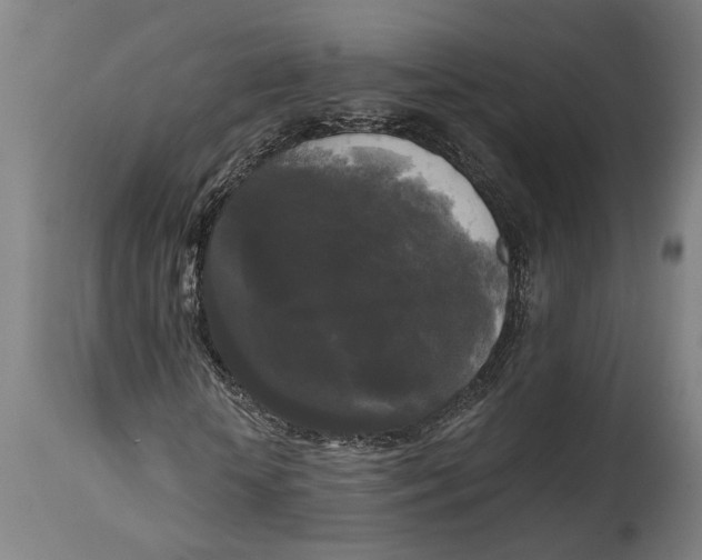 X0000114590818200911161329