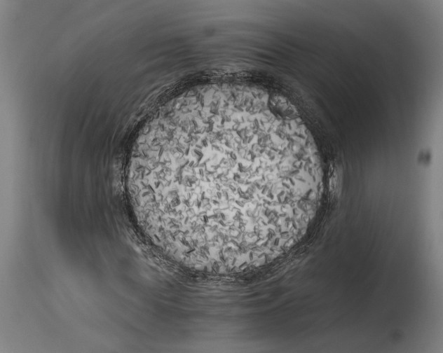 X0000114590819200911161329