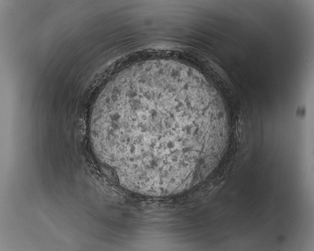 X0000114590821200911161329