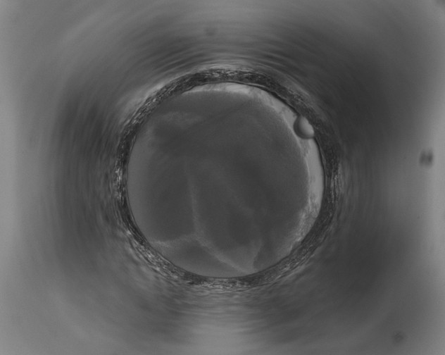 X0000114590822200911161329