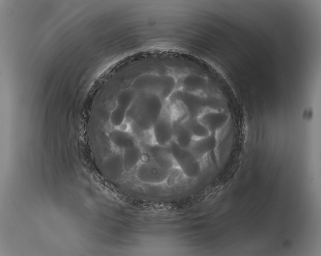 X0000114590823200911161329