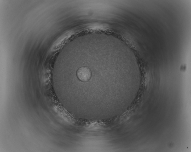 X0000114590824200911161329