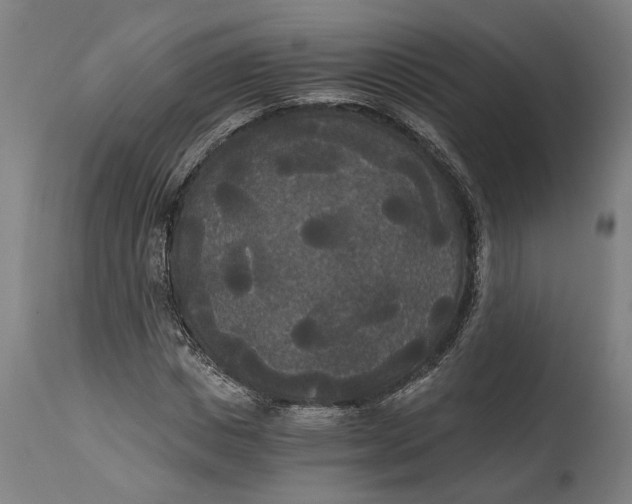 X0000114590825200911161329