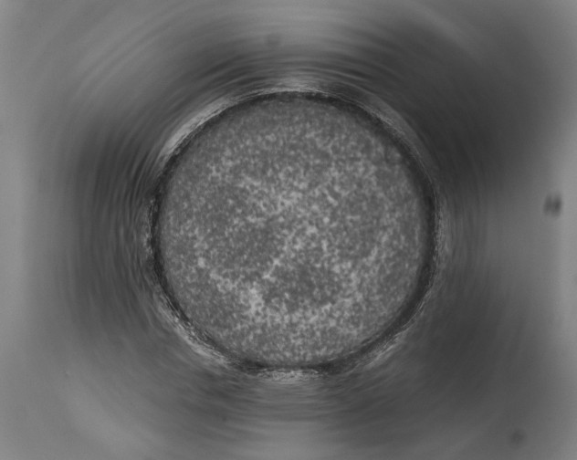 X0000114590826200911161329