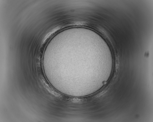 X0000114590827200911161329