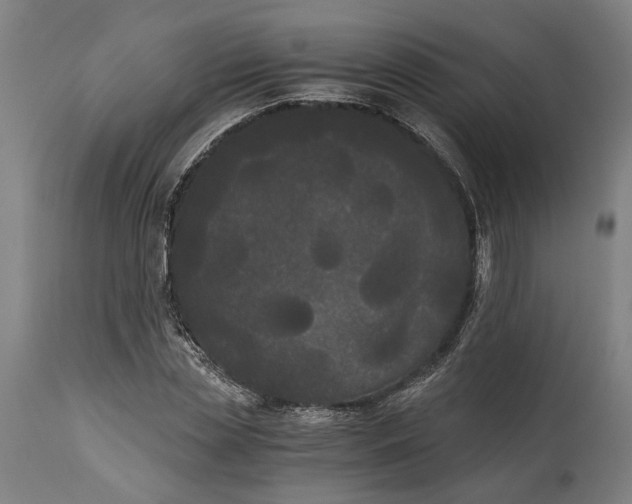 X0000114590829200911161329