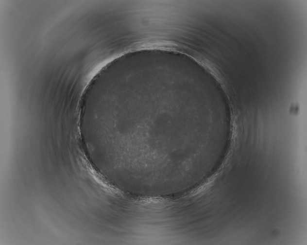 X0000114590830200911161329