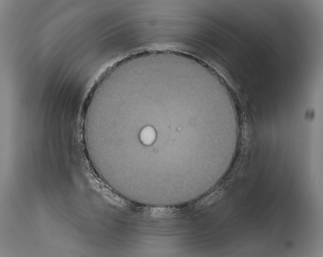 X0000114590832200911161329