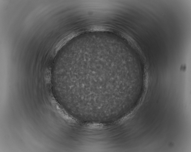 X0000114590833200911161329