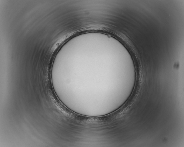 X0000114590834200911161329