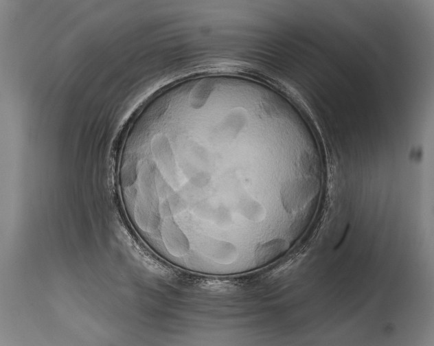 X0000114590835200911161329