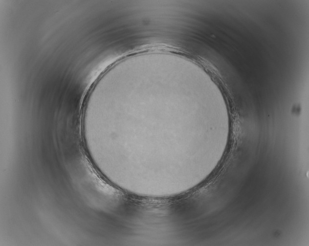 X0000114590836200911161329