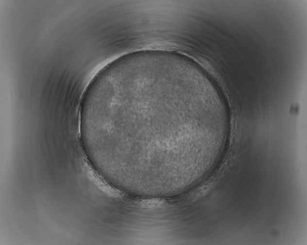 X0000114590838200911161329