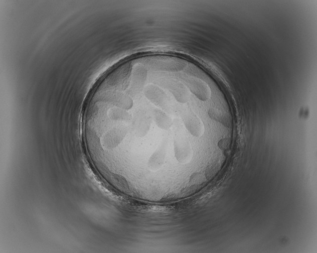 X0000114590839200911161329