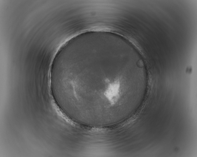 X0000114590840200911161329