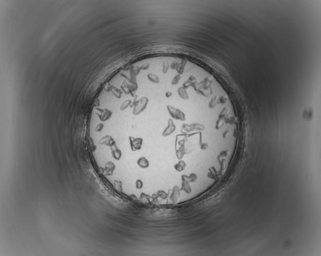 X0000114590841200911161329