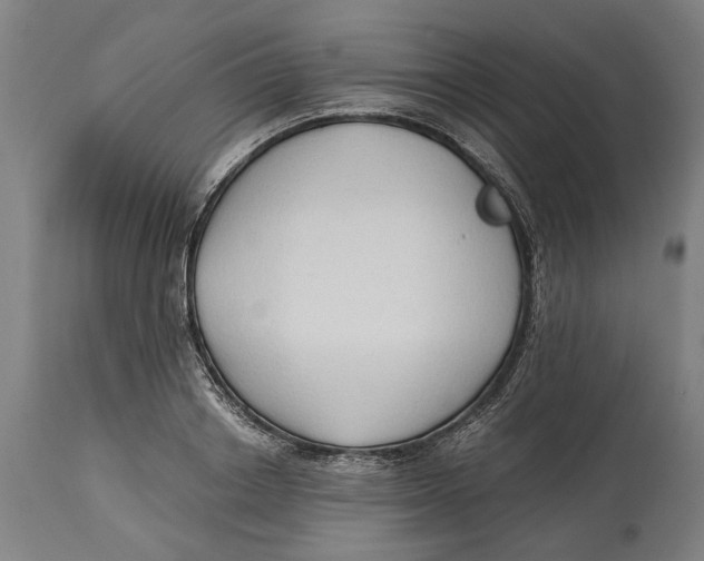 X0000114590842200911161329