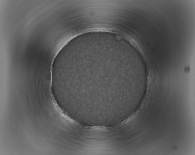 X0000114590844200911161329