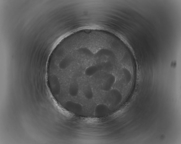 X0000114590845200911161329