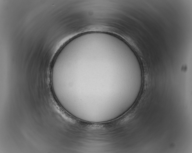 X0000114590846200911161329