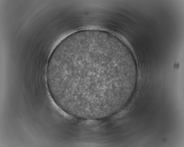 X0000114590847200911161330