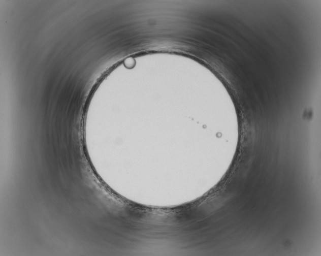 X0000114590848200911161330