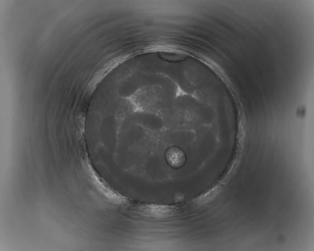 X0000114590849200911161330