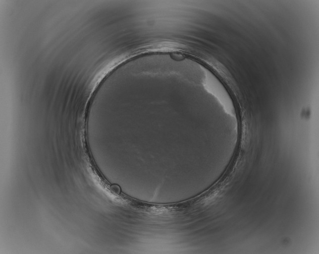 X0000114590850200911161330