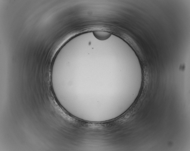 X0000114590852200911161330