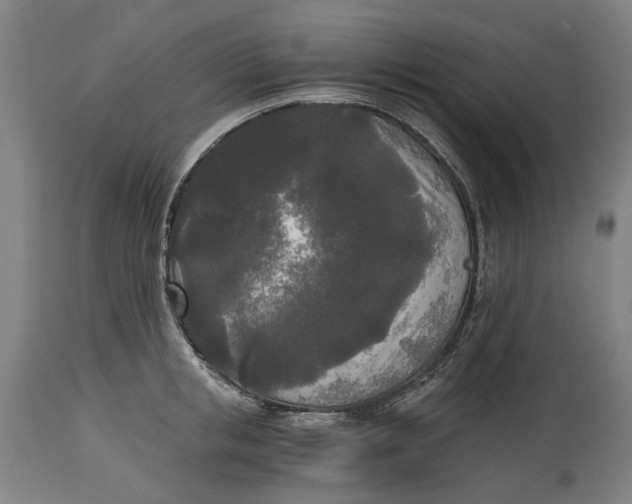 X0000114590853200911161330