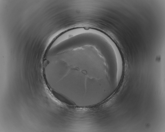 X0000114590854200911161330