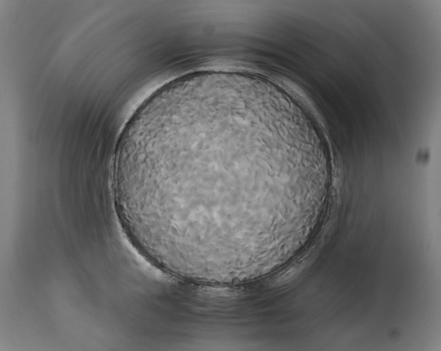 X0000114590855200911161330