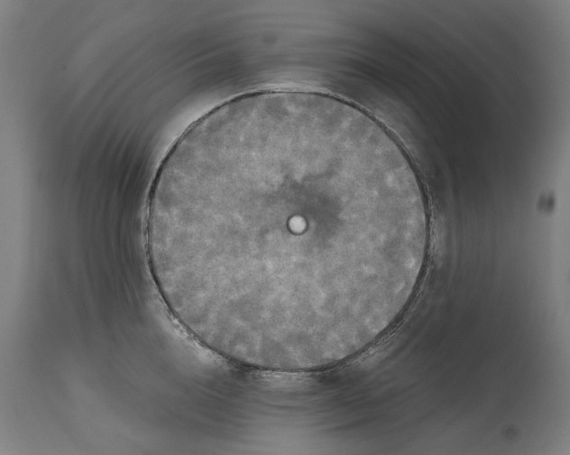 X0000114590856200911161330