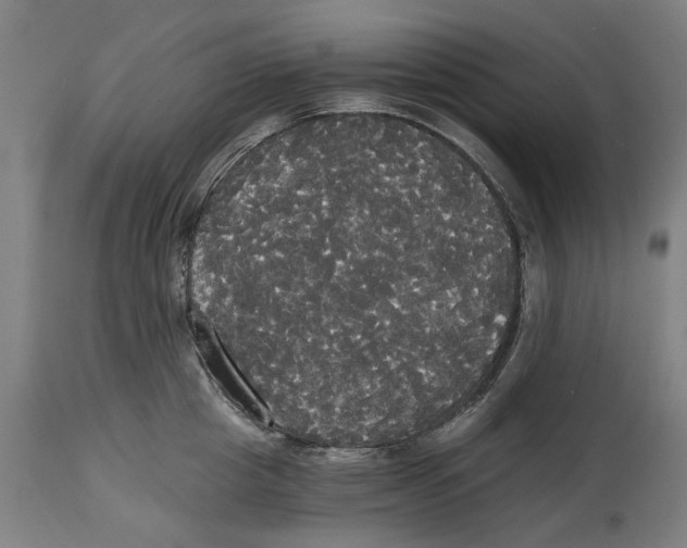 X0000114590857200911161330