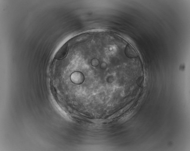 X0000114590859200911161330