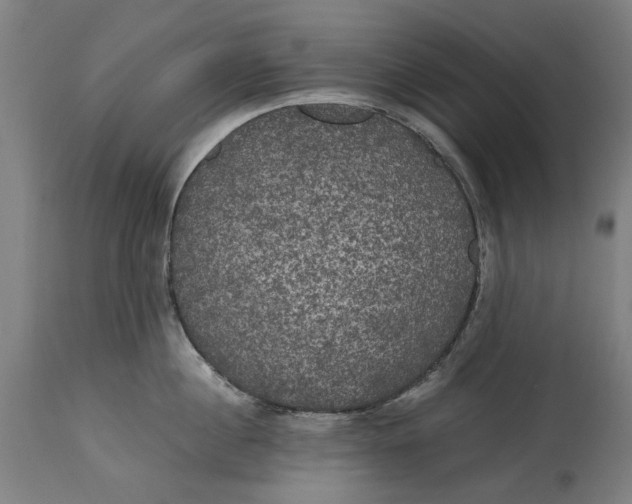 X0000114590860200911161330