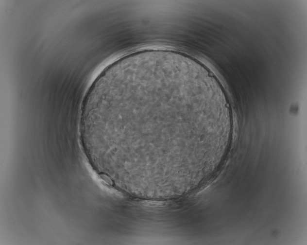 X0000114590861200911161330