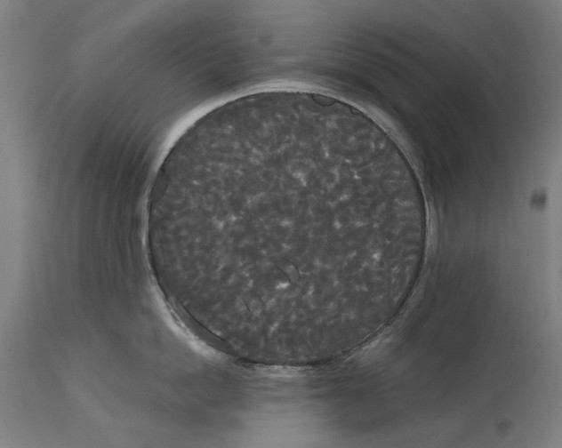 X0000114590862200911161330