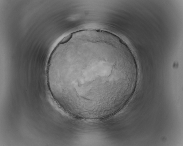 X0000114590864200911161330