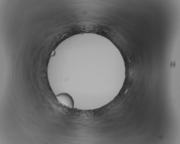 X0000114590865200911161329