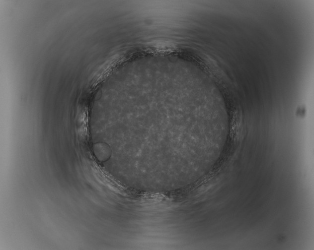 X0000114590866200911161329